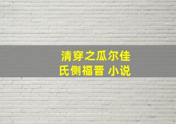 清穿之瓜尔佳氏侧福晋 小说